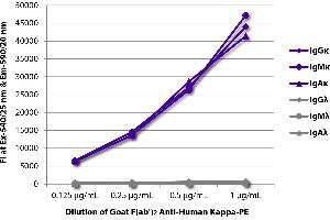 ELISA image for Goat anti-Human Immunoglobulin kappa Chain Complex (Igk) (Chain kappa) antibody (PE) (ABIN376516)