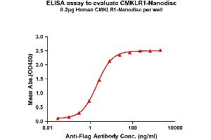 Elisa plates were pre-coated with Flag Tag CM-Nanodisc (0. (CMKLR1 Protéine)
