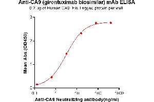 ELISA plate pre-coated by 2 μg/mL (100 μL/well) Human CA9, His tagged protein ABIN6964087, ABIN7042429 and ABIN7042430 can bind Anti-CA9 Neutralizing antibody (ABIN7093059 and ABIN7272589) in a linear range of 0. (Recombinant CA9 (Girentuximab Biosimilar) anticorps)