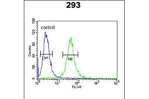 Flow cytometric analysis of 293 cells (right histogram) compared to a negative control cell (left histogram). (GATA2 anticorps  (AA 262-288))