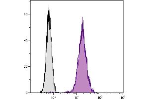 Chinese hamster ovary cell line CHO-K1 and BALB/cAnN mouse B lymphocyte cell line A20 were stained with Hamster Anti-Mouse CD81-FITC. (CD81 anticorps  (FITC))