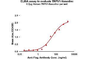 Elisa plates were pre-coated with Flag Tag T-Nanodisc (0. (TRPV1 Protéine)