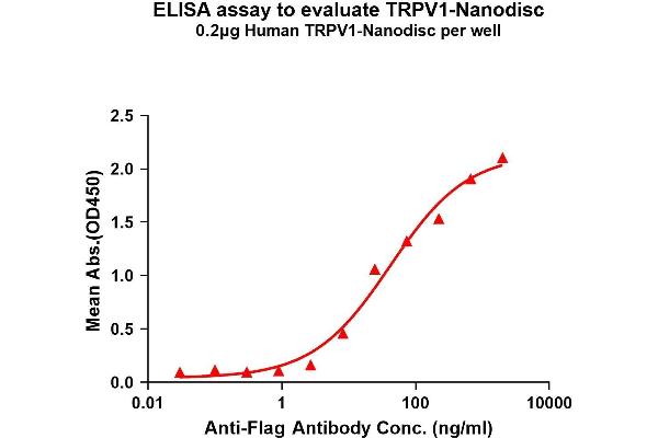 TRPV1 Protéine