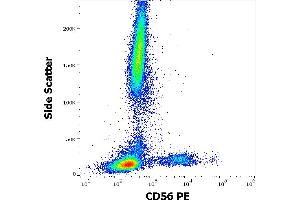 Flow cytometry surface staining pattern of human peripheral whole blood stained using anti-human CD56 (LT56) PE antibody (10 μL reagent / 100 μL of peripheral whole blood). (CD56 anticorps  (PE))