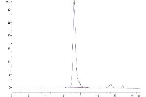 The purity of Human FGFR2 beta (IIIb) is greater than 95 % as determined by SEC-HPLC. (FGFR2 beta (AA 152-378) protein (Fc Tag))