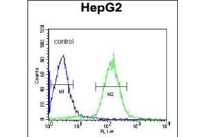 PLTP Antibody (C-term) (ABIN391914 and ABIN2841725) flow cytometric analysis of HepG2 cells (right histogram) compared to a negative control cell (left histogram). (PLTP anticorps  (C-Term))