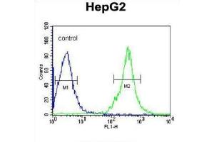 Flow Cytometry (FACS) image for anti-Fibrinogen gamma Chain (FGG) antibody (ABIN3003142) (FGG anticorps)