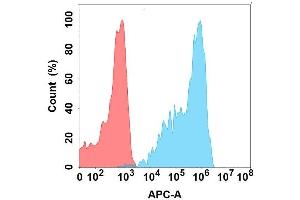 Flow cytometry analysis with Anti-F on Expi293 cells transfected with human F (Blue histogram) or Expi293 transfected with irrelevant protein (Red histogram). (FOLR2 anticorps)
