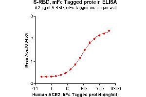 ELISA plate pre-coated by 2 μg/mL (100 μL/well) S-RBD, mFc tagged protein (ABIN6961175, ABIN7042379 and ABIN7042380) can bind Human , hFc Tagged protein ABIN6961131, ABIN7042291 and ABIN7042292 in a linear range of 7. (SARS-CoV-2 Spike Protein (RBD) (mFc Tag))