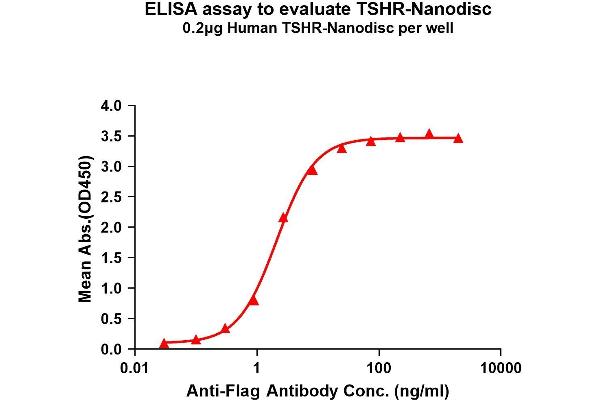 TSH receptor Protéine