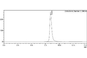 Assessment of protein purity for human Fc gamma RIIIb / CD16b (NA1) protein by SEC-HPLC. (FCGR3B Protein (AA 17-200) (His-Avi Tag))