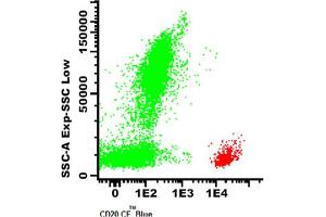 Image no. 1 for anti-Membrane-Spanning 4-Domains, Subfamily A, Member 1 (MS4A1) antibody (CF405M) (ABIN1112085) (CD20 anticorps  (CF405M))