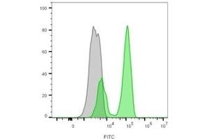 Flow cytometry analysis of lymphocyte-gated PBMCs unstained (gray) or stained with CF488A-labeled CD3 mouse monoclonal antibody (CRIS-7) (green) (CD3 epsilon anticorps)