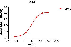 ELISA plate pre-coated by 2 μg/mL (100 μL/well) Human 2B4 protein, mFc-His tagged protein ABIN6961083, ABIN7042195 and ABIN7042196 can bind Rabbit anti-2B4 monoclonal antibody (clone: DM69) in a linear range of 1-100 ng/mL. (Recombinant 2B4 anticorps  (AA 22-221))