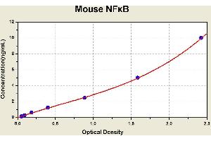 Diagramm of the ELISA kit to detect Mouse NF? (NFKB1 Kit ELISA)