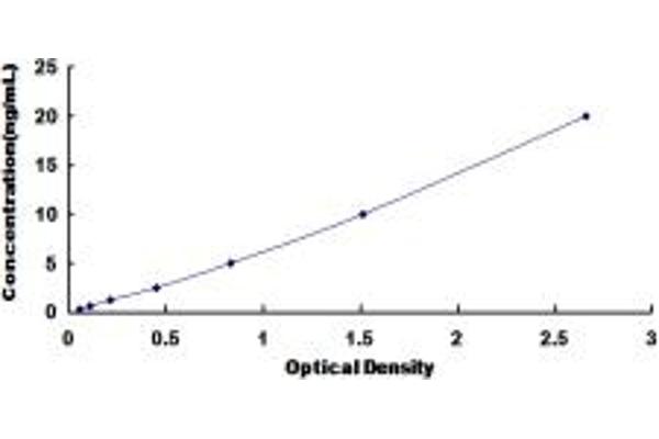 IQGAP1 Kit ELISA