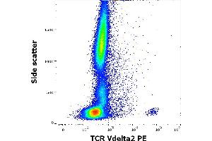 Flow cytometry surface staining pattern of human peripheral whole blood stained using anti-human TCR Vdelta2 (B6) PE antibody (10 μL reagent / 100 μL of peripheral whole blood). (TCR, V delta 2 anticorps (PE))