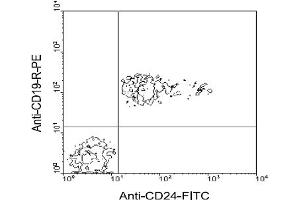 Flow Cytometry (FACS) image for anti-CD24 Molecule (CD24) antibody (FITC) (ABIN371110) (CD24 anticorps  (FITC))