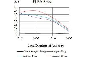 Black line: Control Antigen (100 ng),Purple line: Antigen (10 ng), Blue line: Antigen (50 ng), Red line:Antigen (100 ng) (LAIR2 anticorps  (AA 22-152))