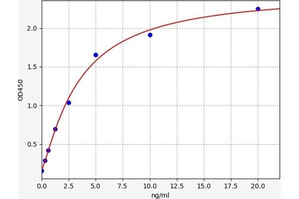 CDK8 Kit ELISA