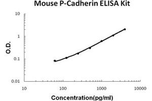 Mouse P-Cadherin Accusignal ELISA Kit Mouse P-Cadherin AccuSignal ELISA Kit standard curve. (P-Cadherin Kit ELISA)