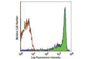 Flow Cytometry (FACS) image for anti-CD90/CD90.1 antibody (ABIN2664882) (CD90/CD90.1 anticorps)