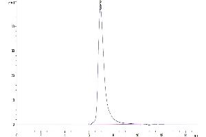 The purity of Human FGFR2 alpha (IIIc) is greater than 95 % as determined by SEC-HPLC. (FGFR2 alpha (AA 22-377) protein (His tag))