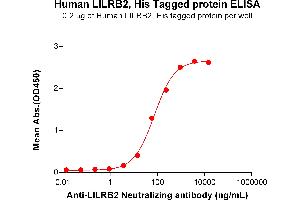 ELISA plate pre-coated by 2 μg/mL (100 μL/well) Human LI Protein, His Tag (ABIN7455471, ABIN7490893 and ABIN7490895) can bind Anti-LI Neutralizing antibody ABIN7478031 and ABIN7491000 in a linear range of 3. (LILRB2 Protein (AA 22-461) (His tag))