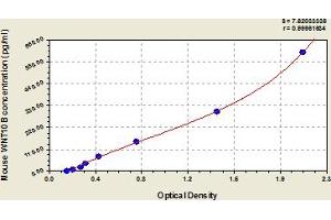 Typical Standard Curve (WNT10B Kit ELISA)