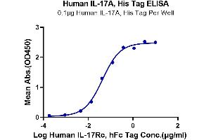 ELISA image for Interleukin 17A (IL17A) (AA 24-155) protein (His tag) (ABIN7274991)