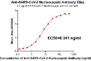 Elisa plate pre-coated by 2 μg/mL(100 μL/well) SARS-CoV-2 Nucleocapsid protein, His Tag ABIN6961146, ABIN7042321 and ABIN7042322 can bind Rabbit Anti-SARS-CoV-2 Nucleocapsid monoclonal antibody(clone:DM22) in a linear range of 0. (SARS-CoV-2 Nucleocapsid anticorps)