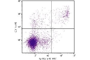 BALB/c mouse splenocytes were stained with Rat Anti-Mouse CD11b-PE. (CD11b anticorps  (PE))