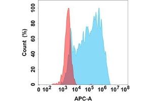 Flow cytometry analysis with Anti-ANG (DM205) on Expi293 cells transfected with human ANG (Blue histogram) or Expi293 transfected with irrelevant protein (Red histogram). (ANGPTL3 anticorps)