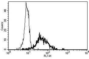 A typical staining pattern with the B-F10 monoclonal antibody of monocytes (CD13 anticorps)