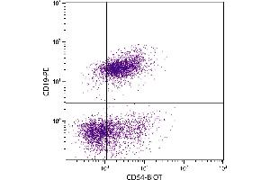 BALB/c mouse splenocytes were stained with Rat Anti-Mouse CD54-BIOT. (ICAM1 anticorps  (Biotin))