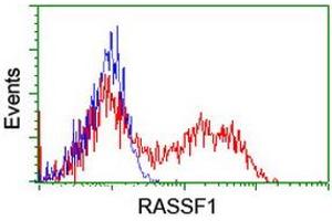 Flow Cytometry (FACS) image for anti-Ras Association (RalGDS/AF-6) Domain Family Member 1 (RASSF1) (AA 1-341) antibody (ABIN1490755) (RASSF1 anticorps  (AA 1-341))