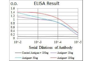 ELISA image for anti-Thrombopoietin (THPO) antibody (ABIN1844325) (Thrombopoietin anticorps)