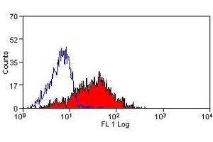 Flow Cytometry (FACS) image for anti-Talin (TLN) antibody (ABIN2476676) (Talin anticorps)