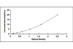 Typical standard curve (PFKM Kit ELISA)