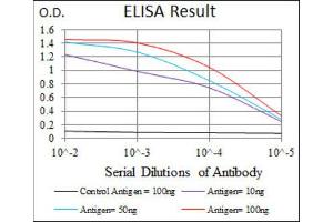 ELISA image for anti-Alkaline Phosphatase, Liver/bone/kidney (ALPL) antibody (ABIN1845845) (ALPL anticorps)