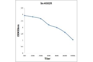 Antigen: 0. (RNA Polymerase 2 (pSer5) anticorps)