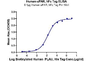 ELISA image for Plasminogen Activator, Urokinase Receptor (PLAUR) (AA 23-305) protein (Fc Tag) (ABIN7275406)