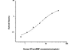 Typical standard curve (NT-ProBNP Kit ELISA)