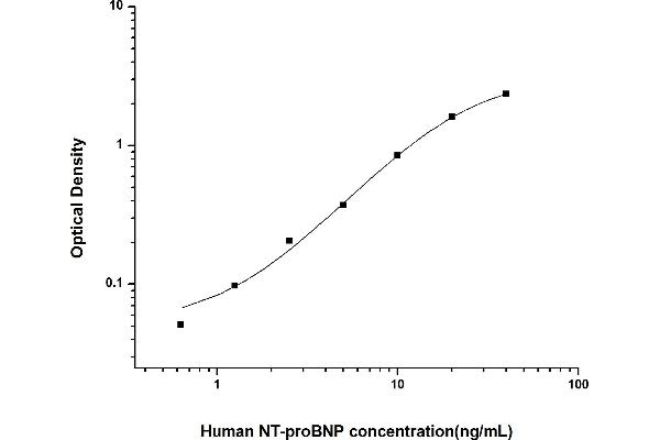 NT-ProBNP Kit ELISA