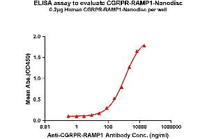 Elisa plates were pre-coated with Flag Tag CGRPR-R-Nanodisc (0. (CALCRL Protéine)