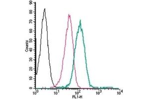 Cell surface detection of P2Y14 by direct flow cytometry in live intact human THP-1 monocytic leukemia cells: (black line) Cells. (P2RY14 anticorps  (Extracellular, Loop 2) (FITC))