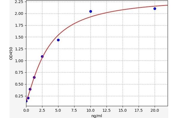 CCR3 Kit ELISA