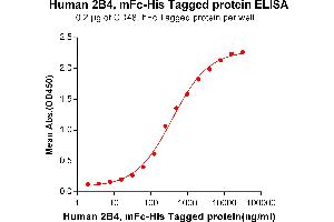 ELISA plate pre-coated by 2 μg/mL (100 μL/well) Human 2B4, mFc-His tagged protein (ABIN6961083, ABIN7042195 and ABIN7042196) can bind Human CD48, hFc tagged protein ABIN6961161, ABIN7042351 and ABIN7042352 in a linear range of 31. (2B4 Protein (AA 22-221) (mFc-His Tag))