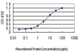 Detection limit for recombinant GST tagged PTK2 is approximately 0. (FAK anticorps  (AA 355-490))