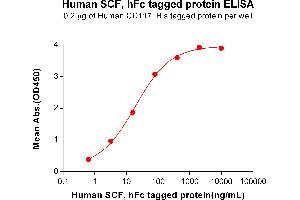 ELISA plate pre-coated by 1 μg/mL (100 μL/well) Human CD117, His tagged protein ABIN6964116, ABIN7042487 and ABIN7042488 can bind Human SCF, hFc tagged protein (ABIN7092726, ABIN7272264 and ABIN7272265) in a linear range of 3. (KIT Ligand Protein (KITLG) (AA 26-214) (Fc Tag))